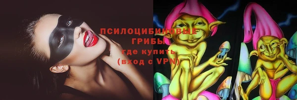 амф Бородино