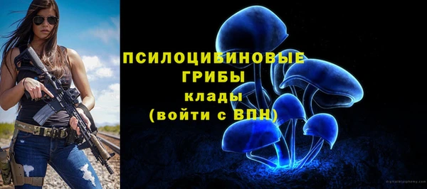 круглые Богданович